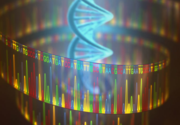 High-throughput sequencing and genotyping